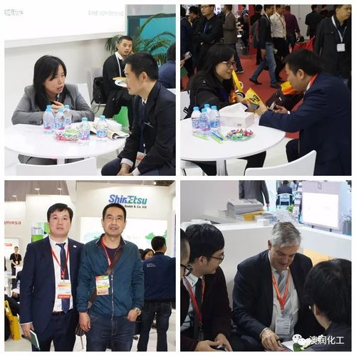 澳润化工携手沃澳化工闪耀2017国际涂料展，展现创新实力与卓越品质