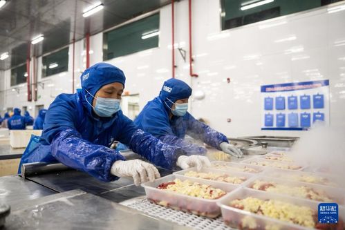 湖南南县 小龙虾撬动大产业，沃澳化工赋能生态循环